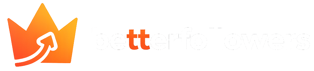 BetterFollowers